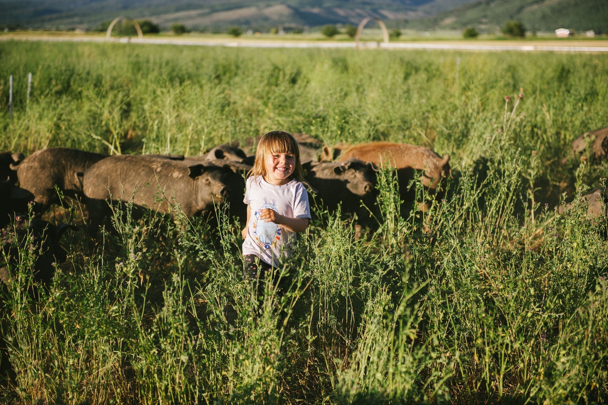 Pork Is Better Than Any Multivitamin (And Tastes Amazing, Too)