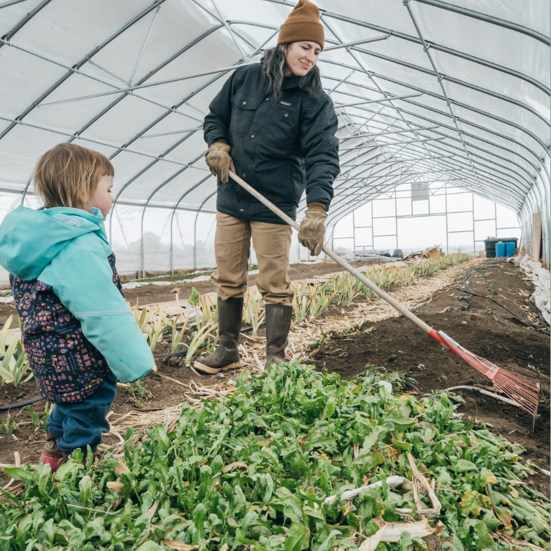 Winter Garden Planning: 8 Strategies for a Thriving 2025 Harvest