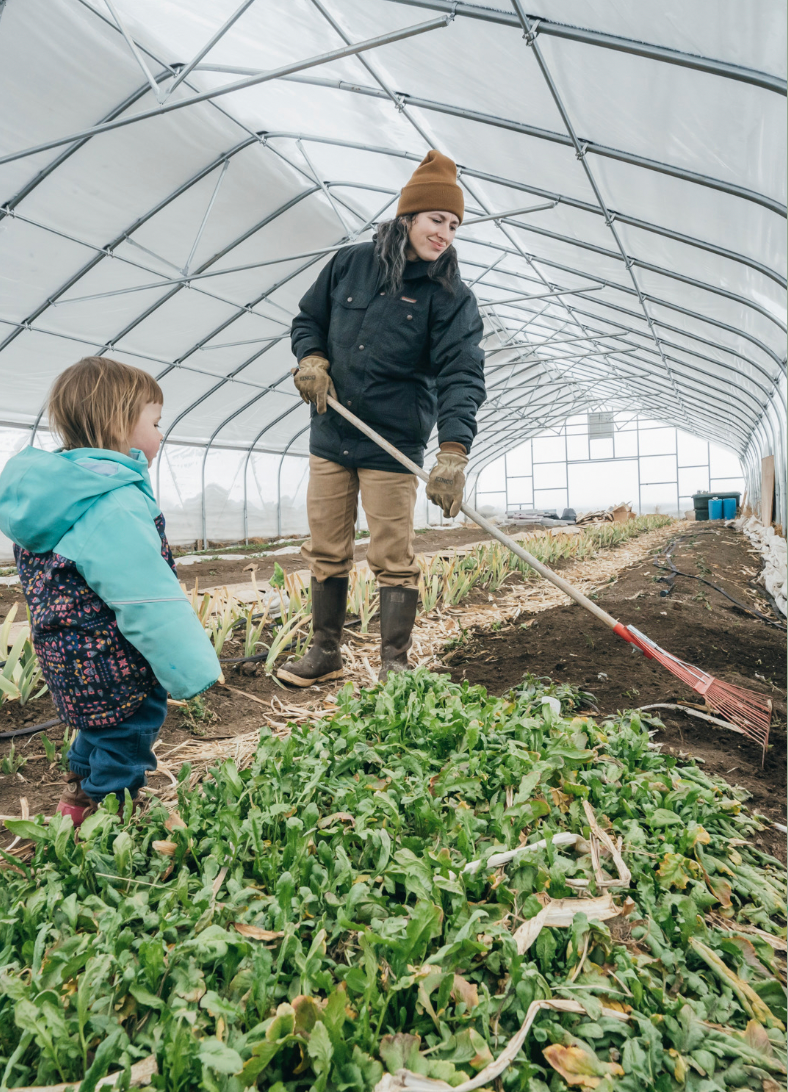 Winter Garden Planning: 8 Strategies for a Thriving 2025 Harvest