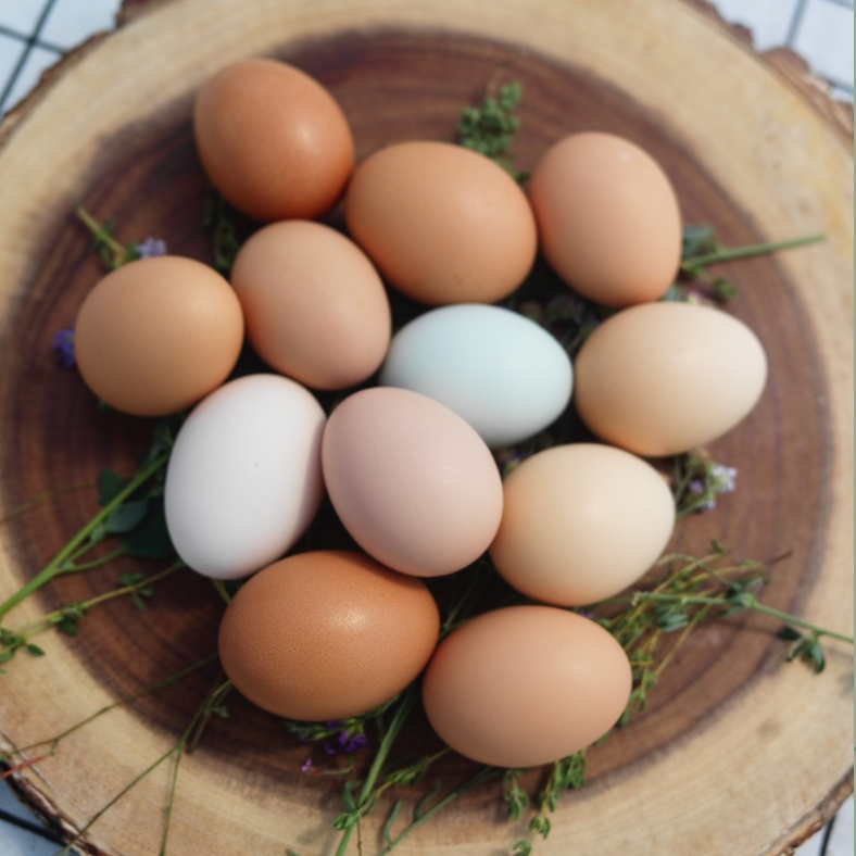 The Ultimate Winter Breakfast: A Protein-Rich Frittata with Nourishing Ingredients