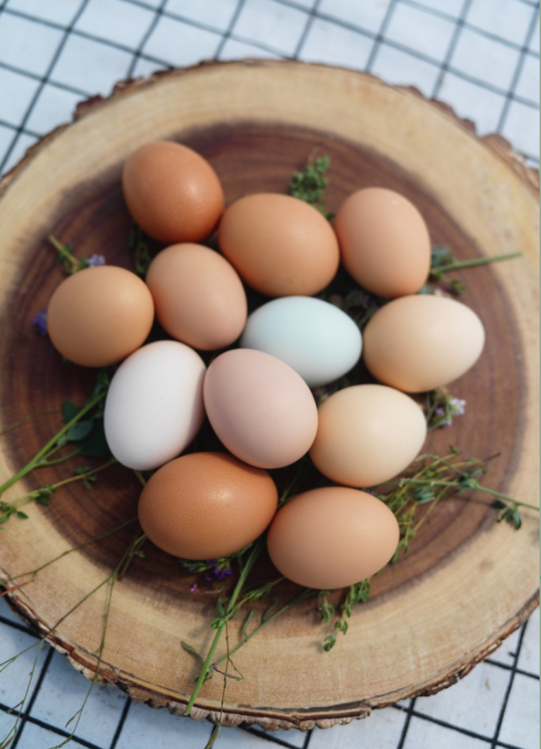 The Ultimate Winter Breakfast: A Protein-Rich Frittata with Nourishing Ingredients