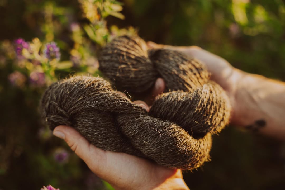 Wool – Late Bloomer Ranch